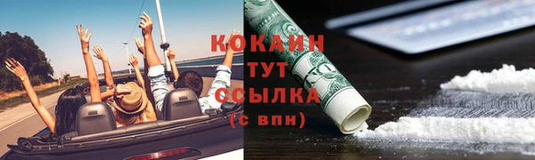 трава Лабытнанги
