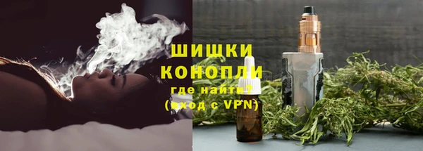трава Лабытнанги