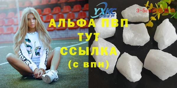 трава Лабытнанги